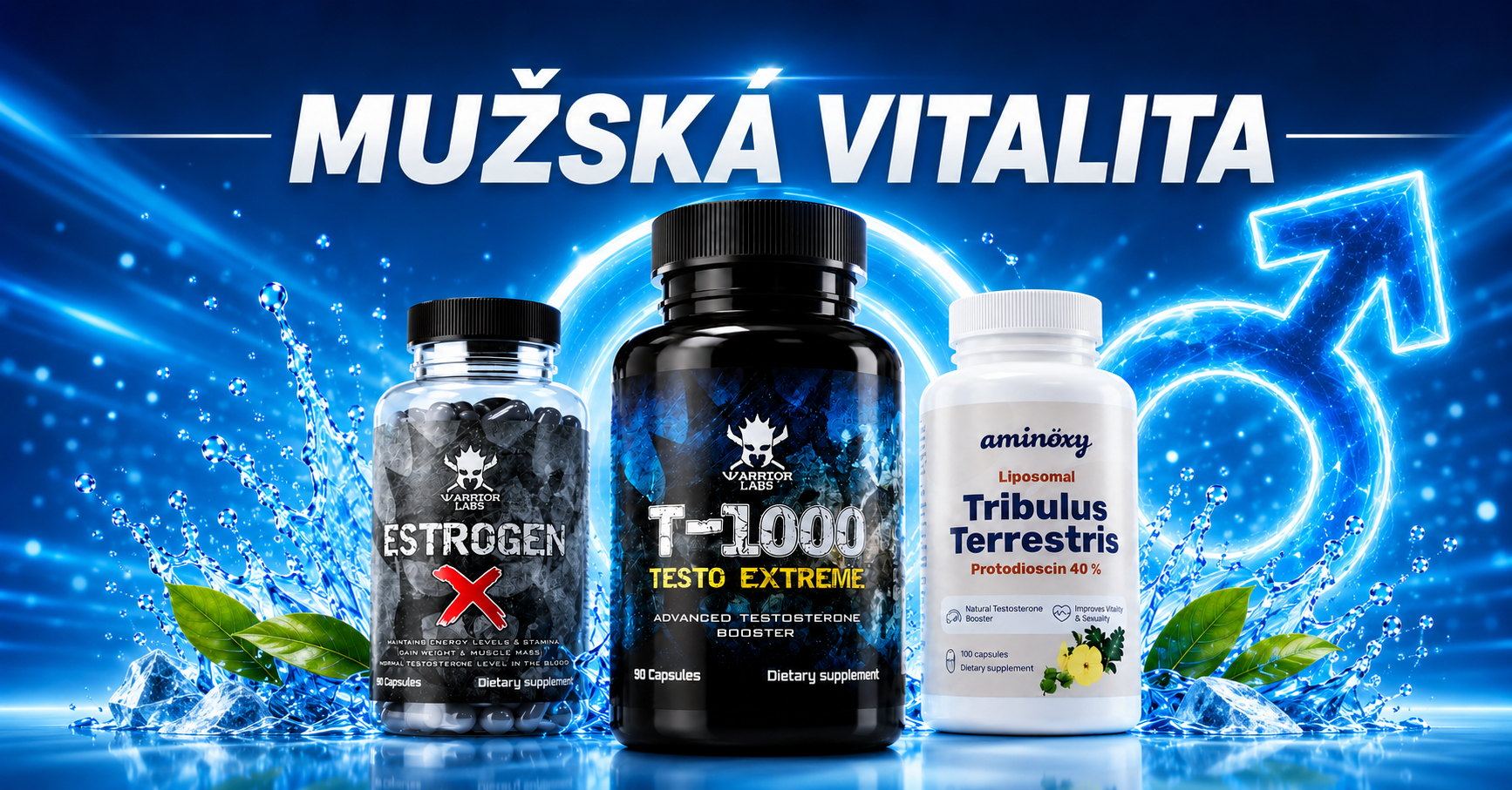 Mužská vitalita